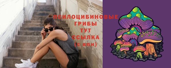 шишки Беломорск