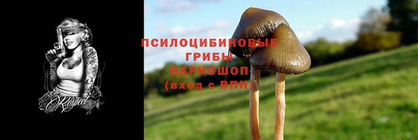 мдпв Сясьстрой