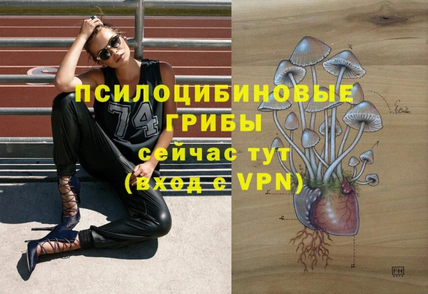 соль курить ск Богородск