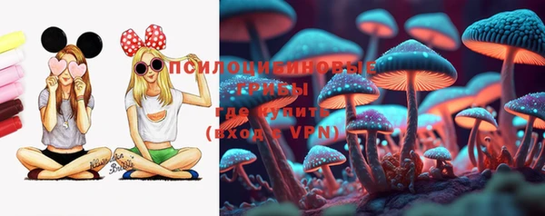 СК Бронницы