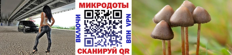 продажа наркотиков  Бугульма  блэк спрут   Псилоцибиновые грибы прущие грибы 